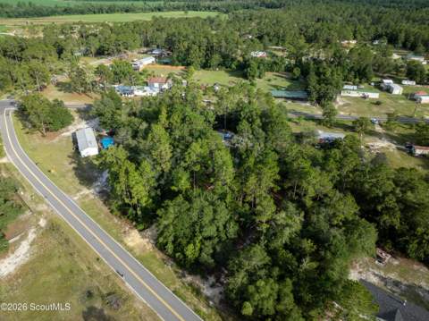 833 Pine Ridge Trail, Blackshear GA - photo 18 of 21