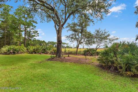 1095 Fair Hope Lane, Townsend GA - photo 6 of 84