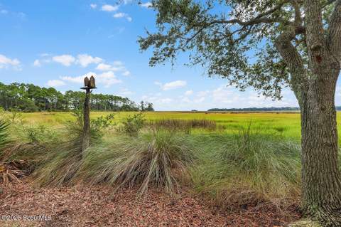 1095 Fair Hope Lane, Townsend GA - photo 7 of 84
