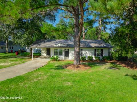835 Mimosa Lane, home for sale in Blackshear 31516