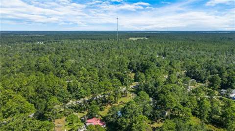 3261 Smith Road, Townsend GA - photo 6 of 14