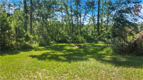 3261 Smith Road, Townsend GA - photo 10 of 14