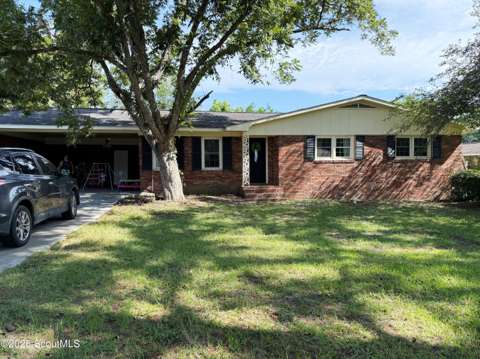 305 Purdom Drive, home for sale in Blackshear 31516