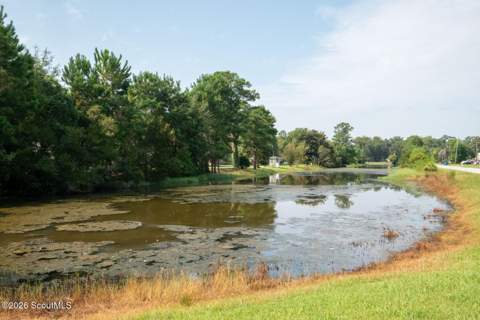 11 High Hill Drive, Brunswick GA - photo 18 of 19