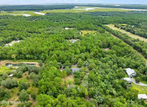 1194 Baileys Forrest Road, Townsend GA - photo 8 of 55