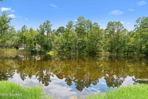 53 Deer Lane, White Oak GA - photo 20 of 35