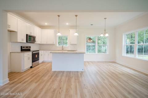 41 Ne Railroad Street, Ludowici GA - photo 6 of 35