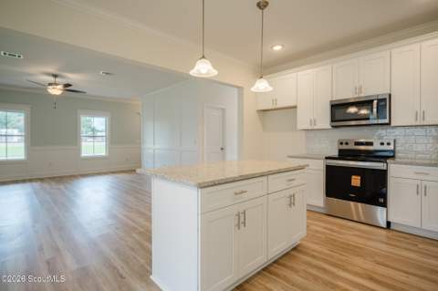 41 Ne Railroad Street, Ludowici GA - photo 9 of 35