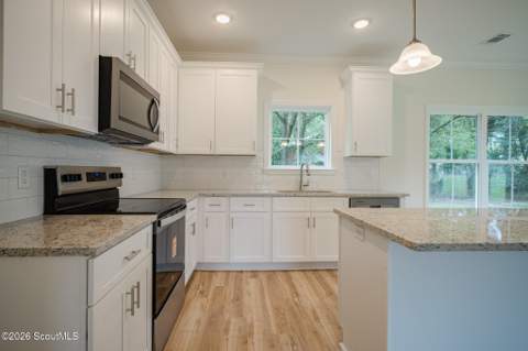 41 Ne Railroad Street, Ludowici GA - photo 12 of 35
