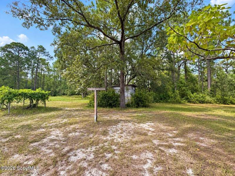 3 bedroom Single Family Residence at 731 Baker Hill Road, Baker Hill, Hortense — photo 4