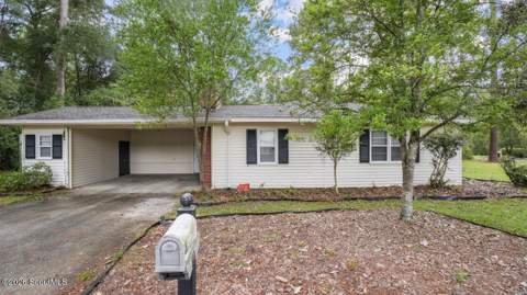411 Ivy Street, Jesup GA - photo 6 of 27