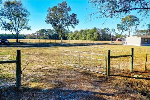 14375 Highway 301, Nahunta GA - photo 6 of 40