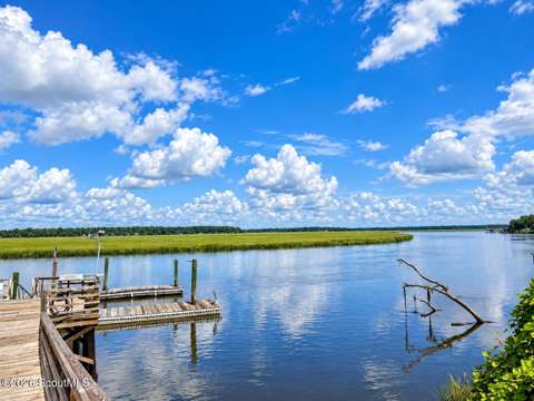 1021 Seaburg Drive, home for sale in Townsend 31331