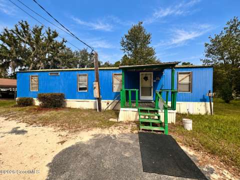 6979 Oak Ridge Circle, home for sale in Blackshear 31516