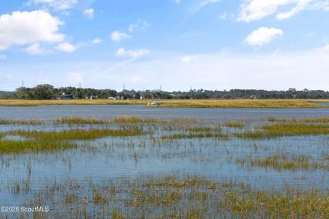 301 Black Banks Lane, Sea Island GA - photo 15 of 42