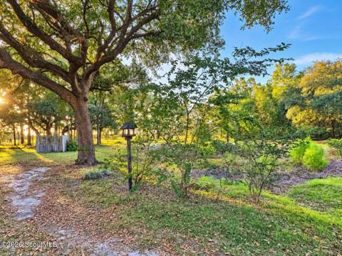 360 Matthews Circle, Nahunta GA - photo 6 of 6