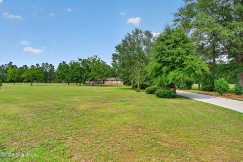 4728 Otter Creek Road, Patterson GA - photo 12 of 69