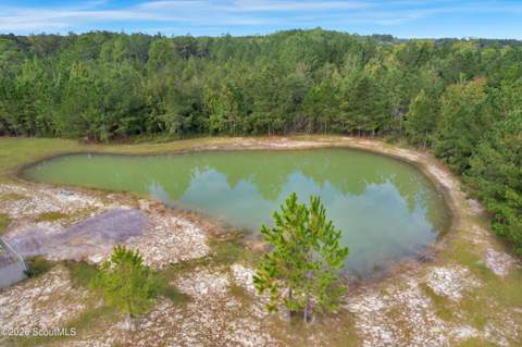 232 SE Deal Street, Ludowici GA - photo 6 of 60