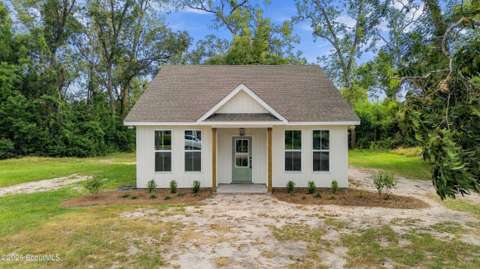 607 Lee Street, home for sale in Blackshear 31516