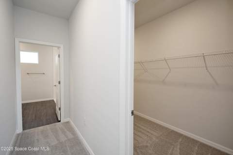 883 Parrotfish Street, Palm Bay FL - photo 11 of 29