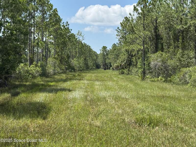 2 bedroom Single Family Residence at 4300 Justa Road, Indian River Park, Mims — photo 5