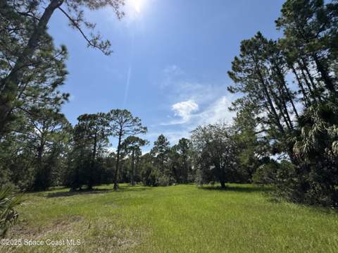 4300 Justa Road, Mims FL - photo 6 of 56