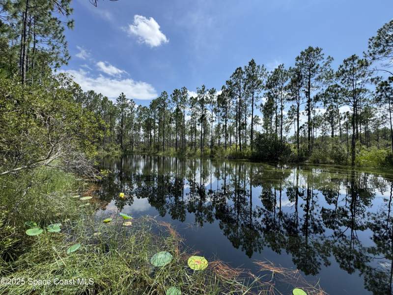 2 bedroom Single Family Residence at 4300 Justa Road, Indian River Park, Mims — photo 3