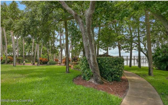 Banyan Cove Phases