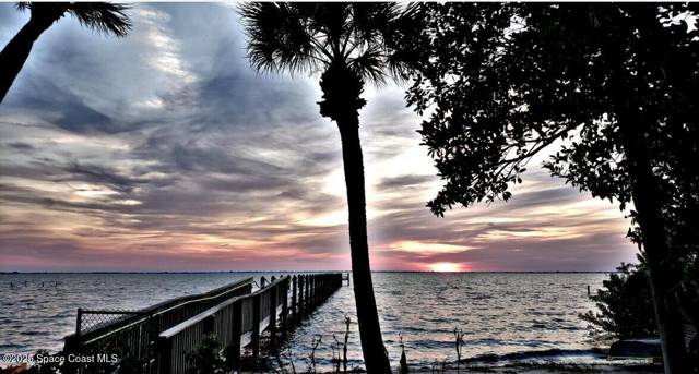 Banyan Cove Phases