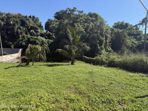 1318 Hillsdale Drive, Cocoa FL - photo 22 of 22