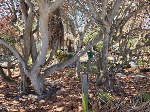 1350 S Atlantic Avenue, Cocoa Beach FL - photo 8 of 9