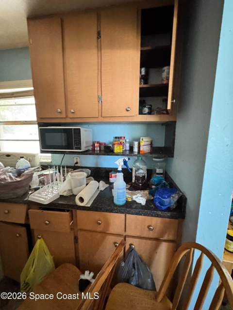 305 Cherry Laurel Avenue, Cocoa FL - photo 9 of 19