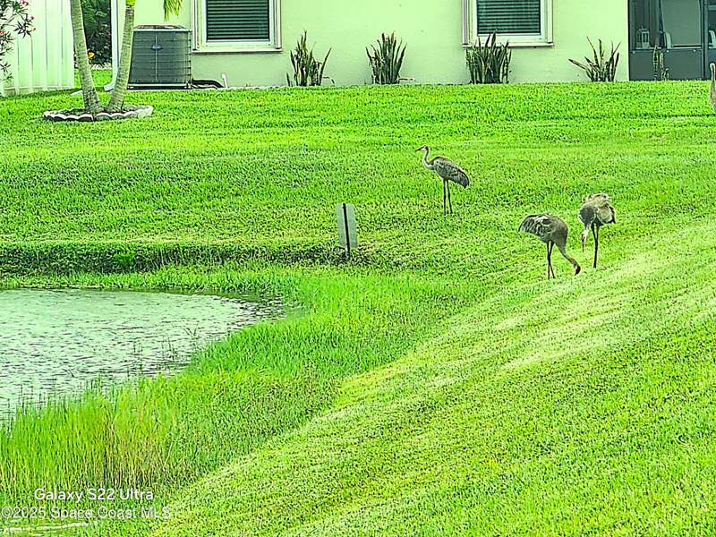 4 bedroom Single Family Residence at 731 Corbin Circle, Bayridge, Palm Bay — photo 4