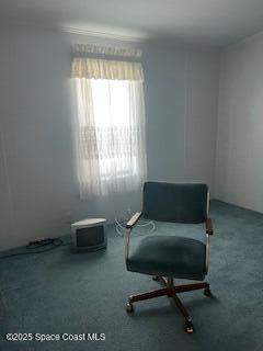 5361 Bison Street #P19, Micco FL - photo 23 of 27