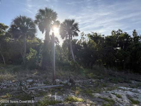 1150 U.S. 1, Malabar FL - photo 12 of 17