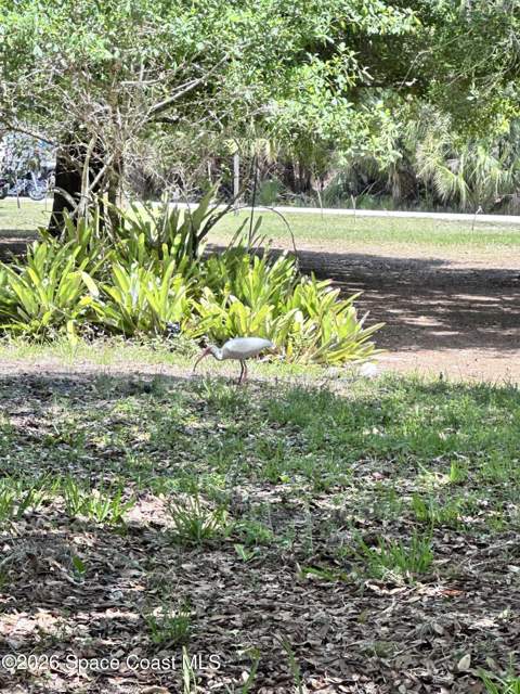 1563 Hamilton Avenue, Palm Bay FL - photo 21 of 26