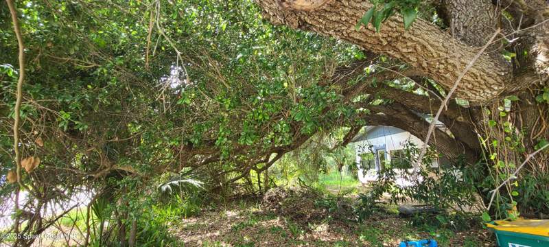 2 bedroom Single Family Residence at 920 Malabar Road, Malabar, Malabar — photo 2