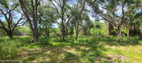 920 Malabar Road, Malabar FL - photo 6 of 12