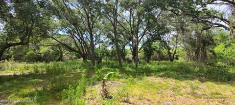 920 Malabar Road, Malabar FL - photo 9 of 12