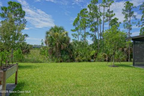 1916 Cerulean Drive, Palm Bay FL - photo 18 of 35