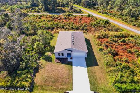 810 Darlington Avenue, Palm Bay FL - photo 9 of 23