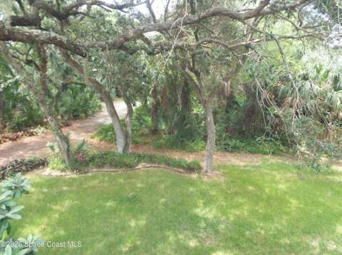 685 Carambola Drive, Merritt Island FL - photo 8 of 30