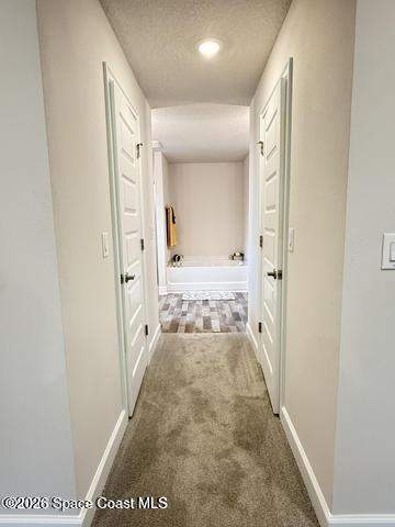 1247 Tiffiny Avenue, Palm Bay FL - photo 21 of 30