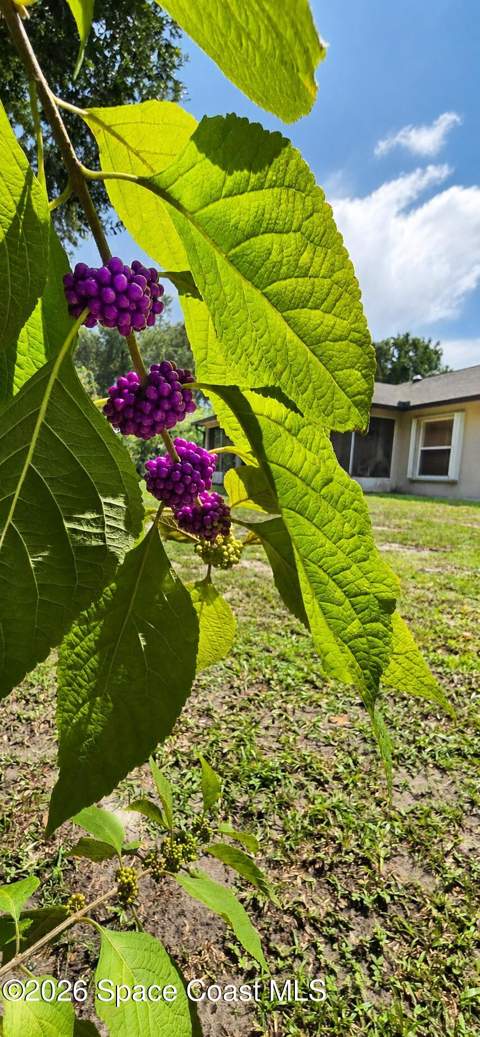 3835 Alan Shepard Avenue, Cocoa FL - photo 22 of 27