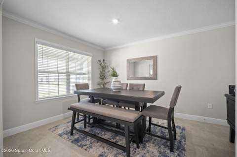 2432 Carrick Street, Palm Bay FL - photo 17 of 100