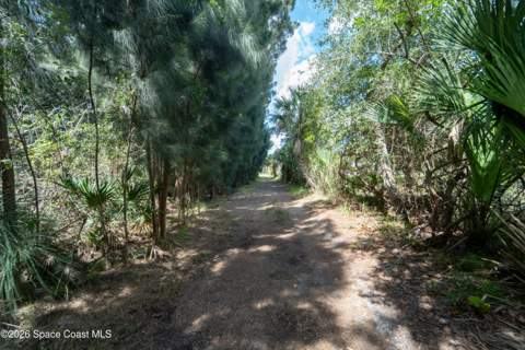 6715 Whispering Pines Lane, Grant FL - photo 18 of 41