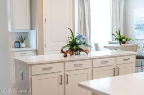 225 First Light Cir, Cocoa FL - photo 11 of 47