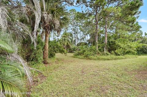 1710 Anchorage Street, Palm Bay FL - photo 6 of 61