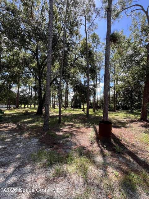 4125 Luciano Avenue, Cocoa FL - photo 7 of 44