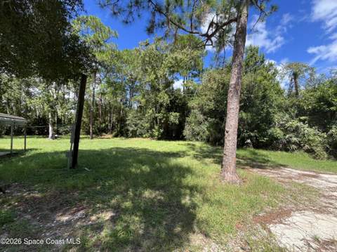 4125 Luciano Avenue, Cocoa FL - photo 8 of 44